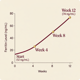 Ferritin rising from 12 to 74 ng/mL over twelve weeks